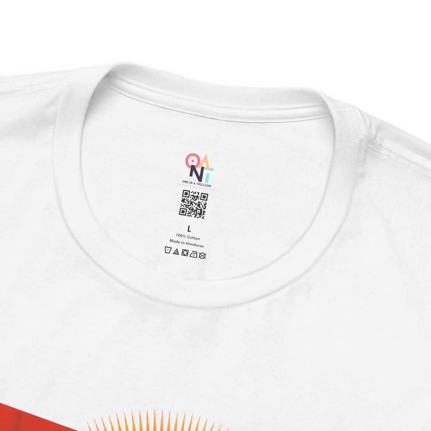 I Bring the Flavor to the Cookout Tee – Bold BBQ Party Shirt | ONAT Unisex Summer Vibes